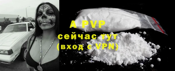 ГАЛЛЮЦИНОГЕННЫЕ ГРИБЫ Верея