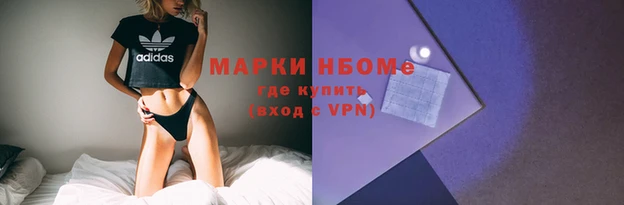 ГАЛЛЮЦИНОГЕННЫЕ ГРИБЫ Верея