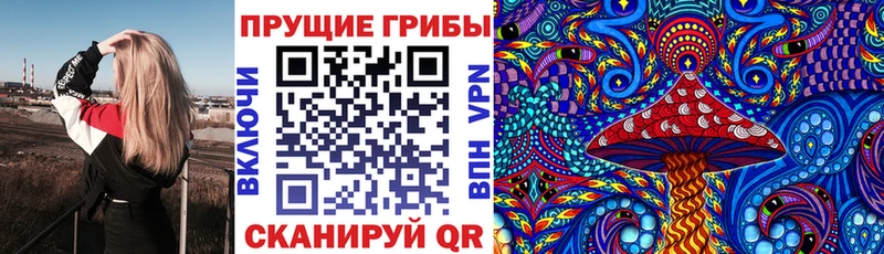 Купить где  Казань  Псилоцибиновые грибы Magic Shrooms 